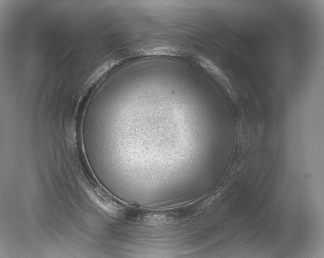 X0000078870298200611271308