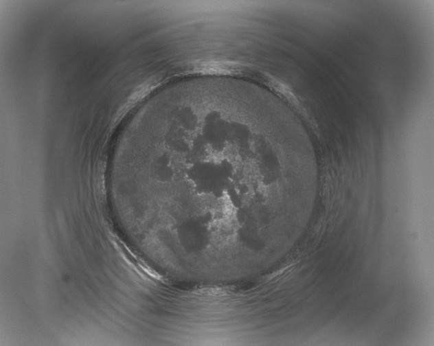 X0000078870299200611271308