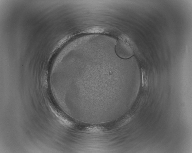 X0000078870300200611271308