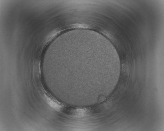 X0000078870302200611271308