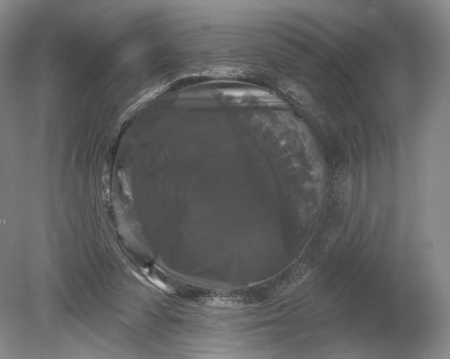 X0000078870303200611271308