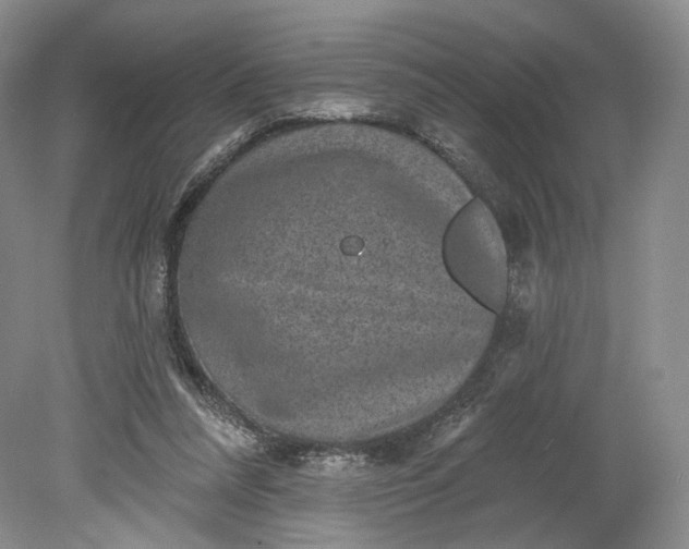 X0000078870304200611271308