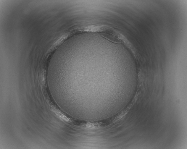 X0000078870305200611271308