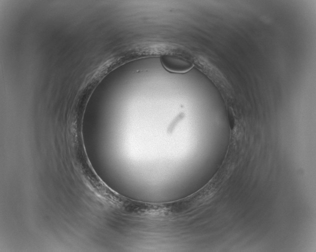 X0000078870306200611271308