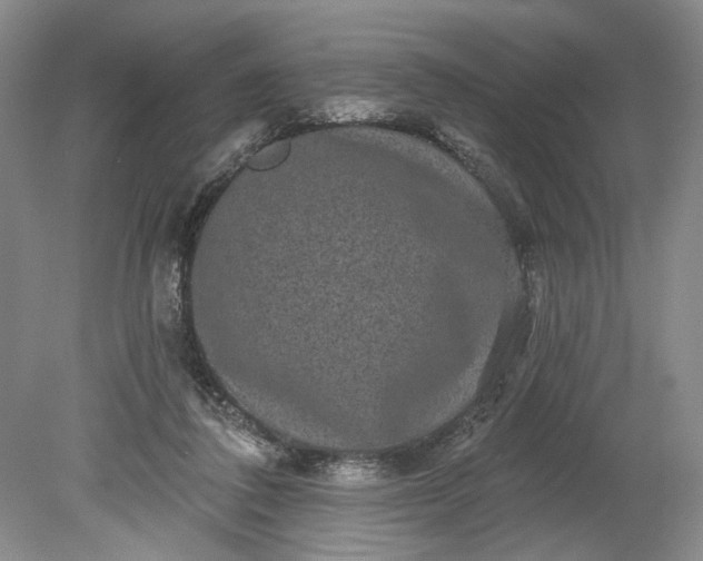 X0000078870308200611271308