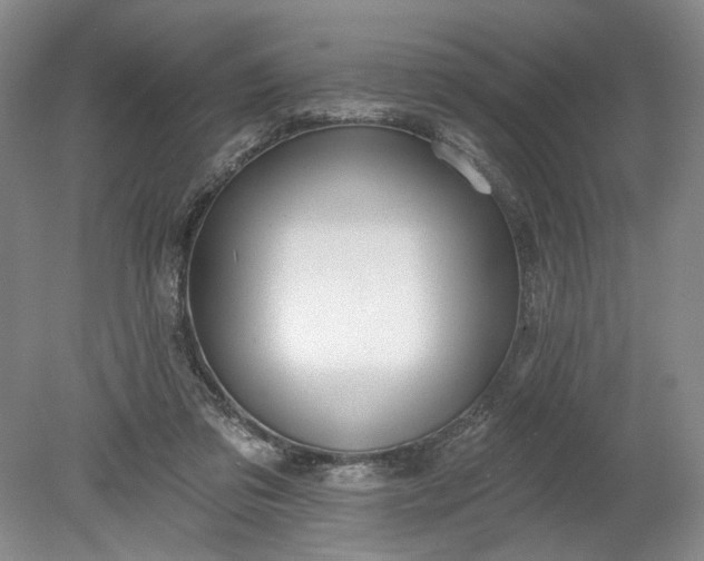 X0000078870309200611271308