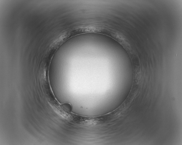 X0000078870310200611271308