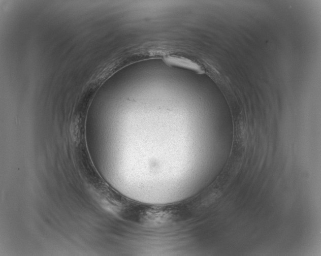 X0000078870311200611271308