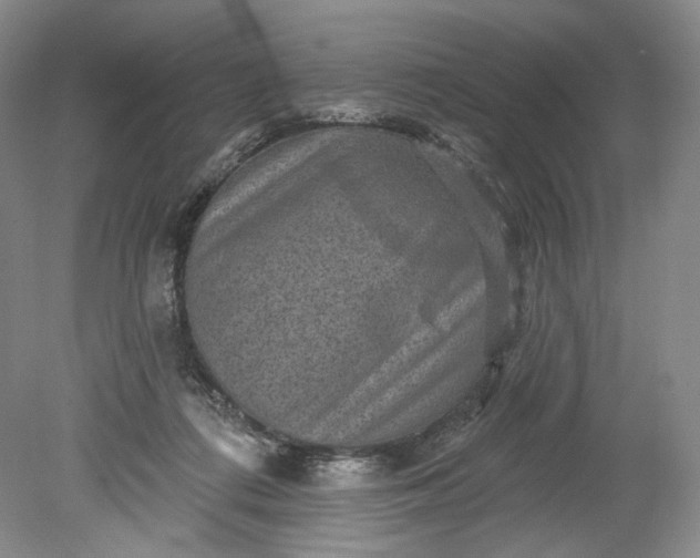 X0000078870312200611271308