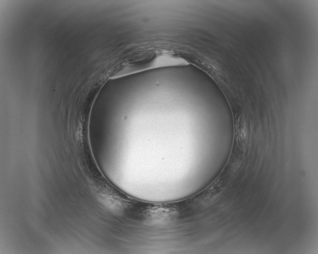 X0000078870315200611271308