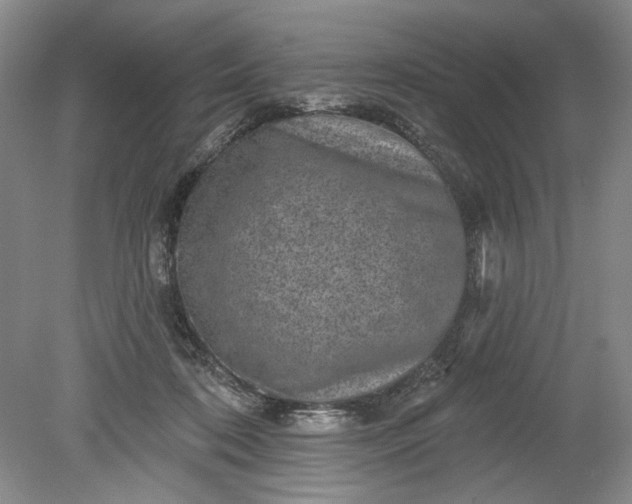 X0000078870316200611271308