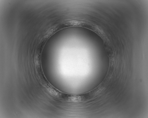 X0000078870317200611271308