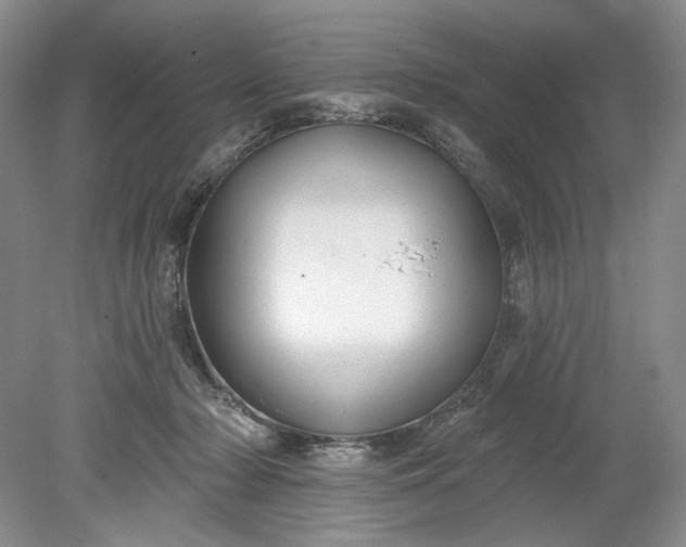 X0000078870318200611271307