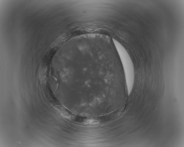 X0000078870319200611271307