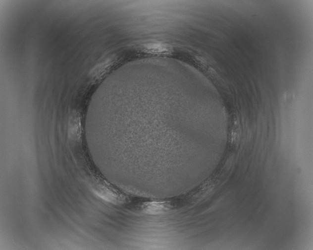 X0000078870320200611271307