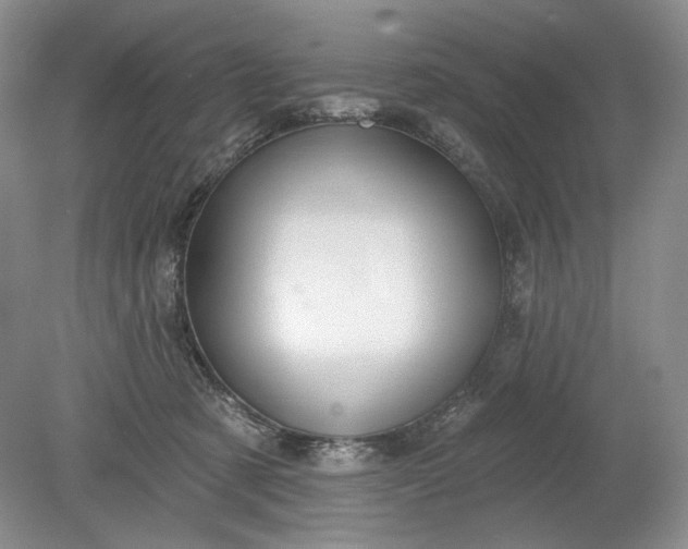 X0000078870321200611271307