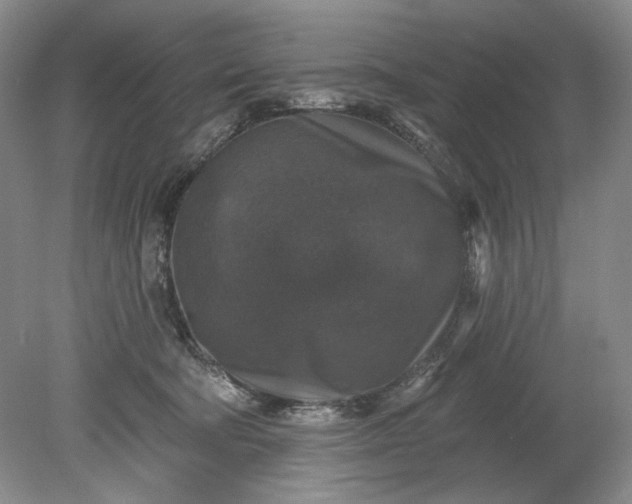 X0000078870322200611271307