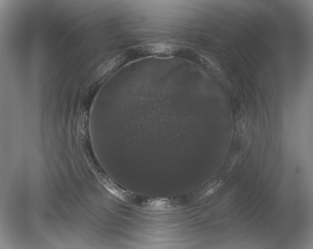 X0000078870325200611271307