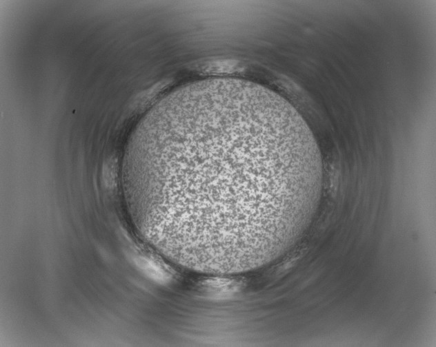 X0000078870326200611271307