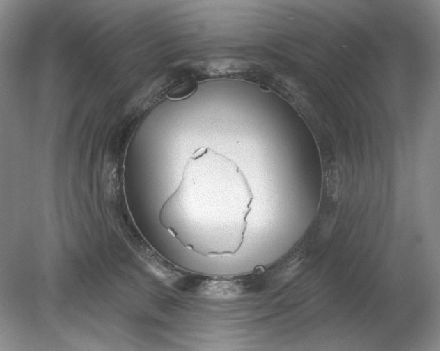 X0000078870327200611271307