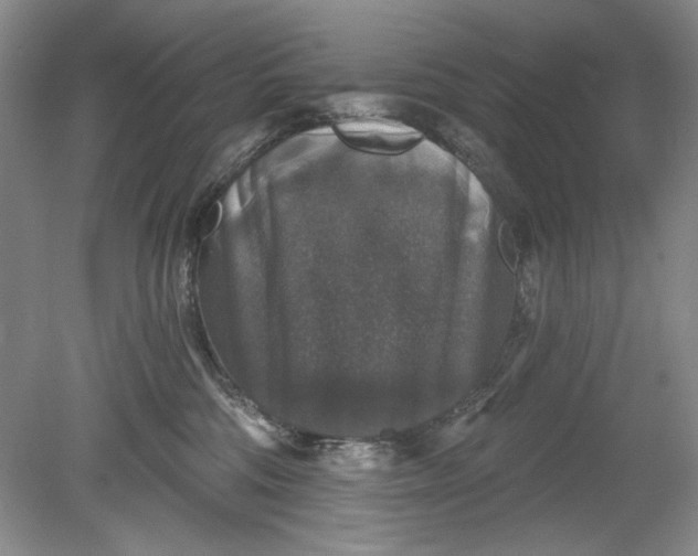 X0000078870330200611271307