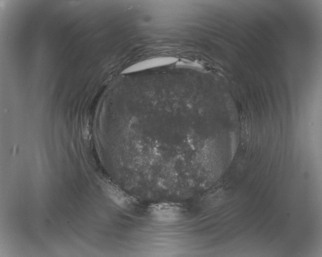 X0000078870331200611271307