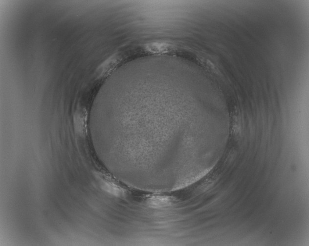 X0000078870332200611271307