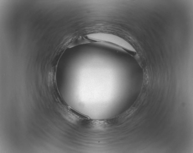 X0000078870333200611271307