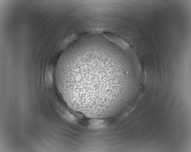 X0000078870334200611271307