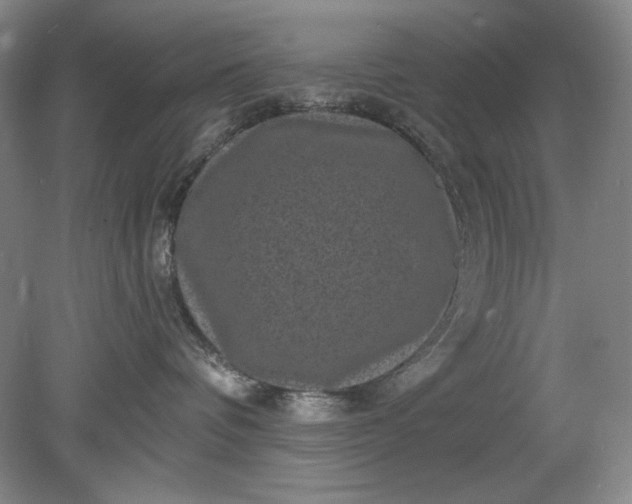 X0000078870336200611271307