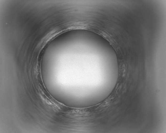 X0000078870338200611271306