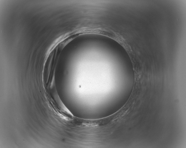 X0000078870340200611271306