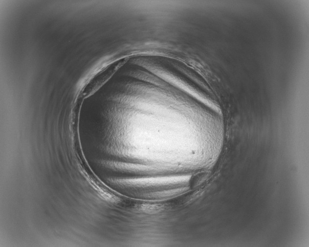 X0000078870341200611271306