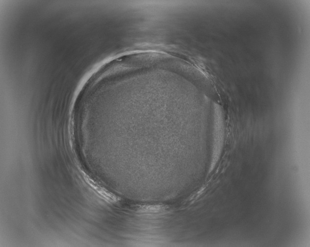 X0000078870342200611271306