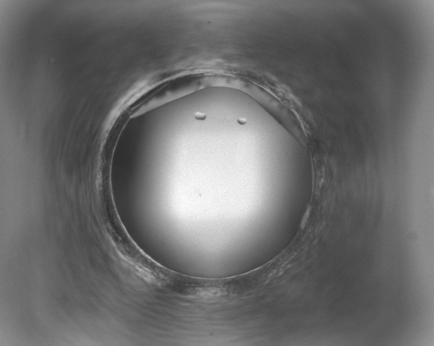 X0000078870344200611271306