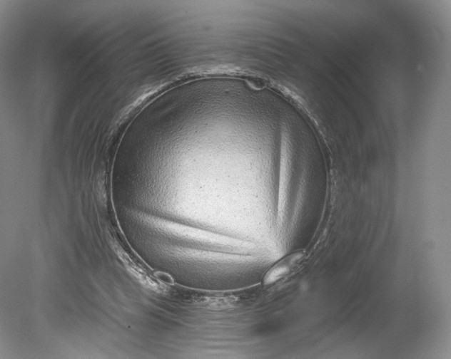 X0000078870345200611271306