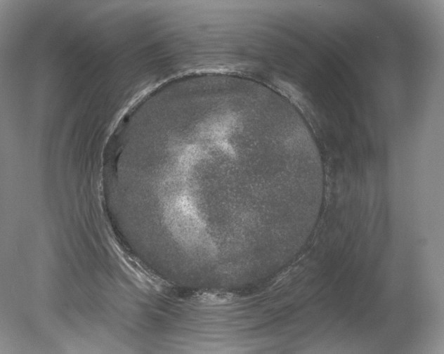 X0000078870346200611271307