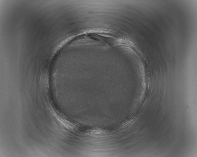 X0000078870348200611271307