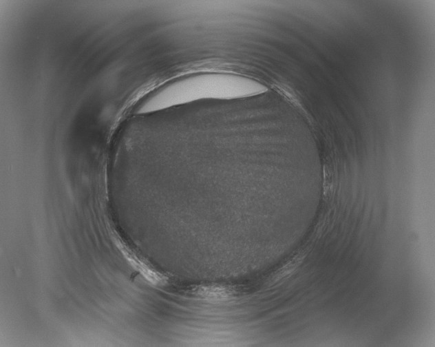 X0000078870349200611271307