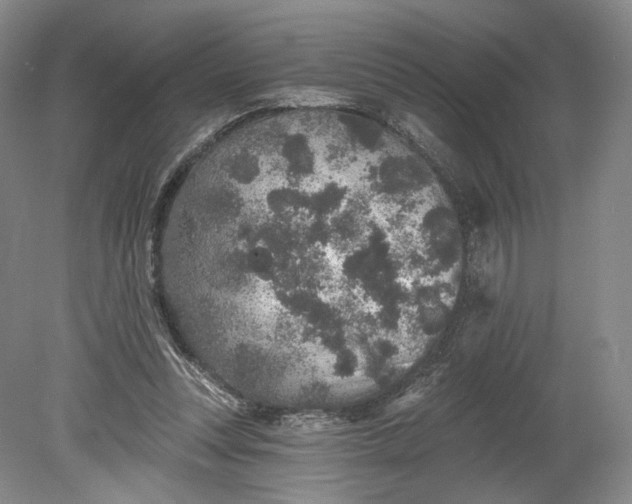 X0000078870351200611271307