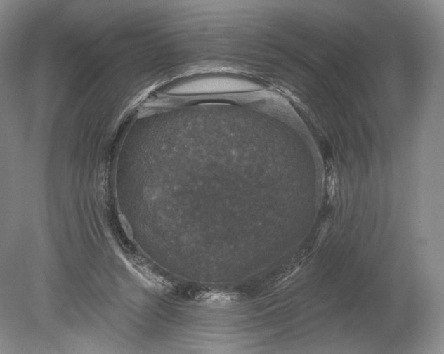 X0000078870352200611271307