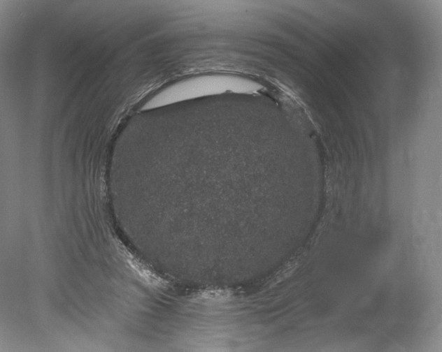 X0000078870353200611271307