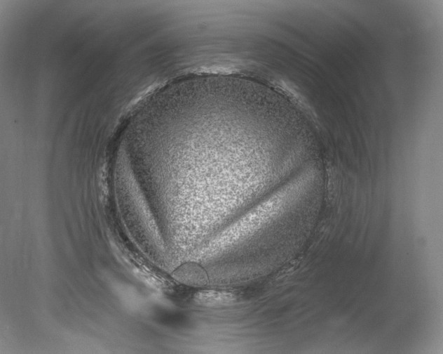 X0000078870354200611271307