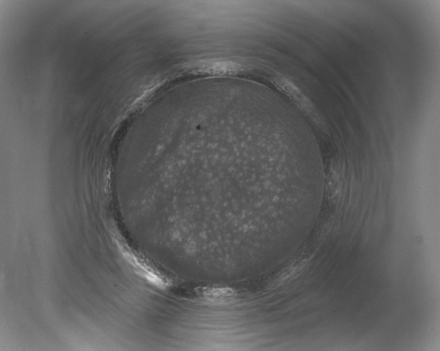 X0000078870355200611271307