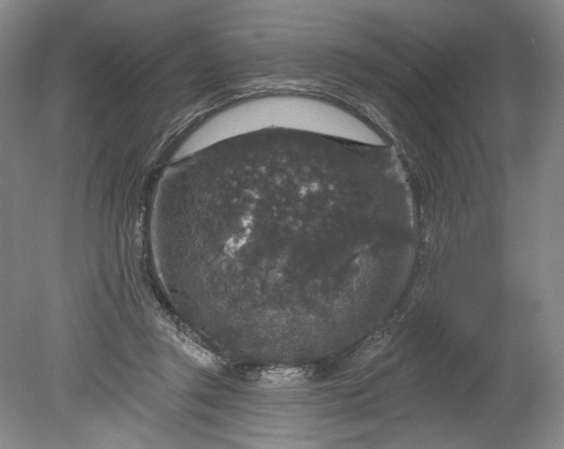 X0000078870357200611271307