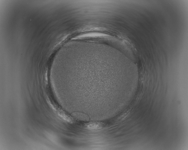 X0000078870358200611271307