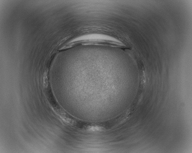 X0000078870360200611271307