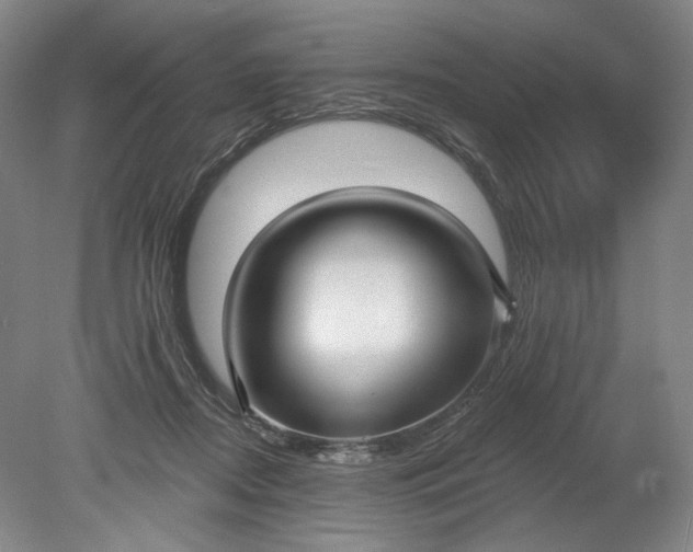 X0000078870362200611271307