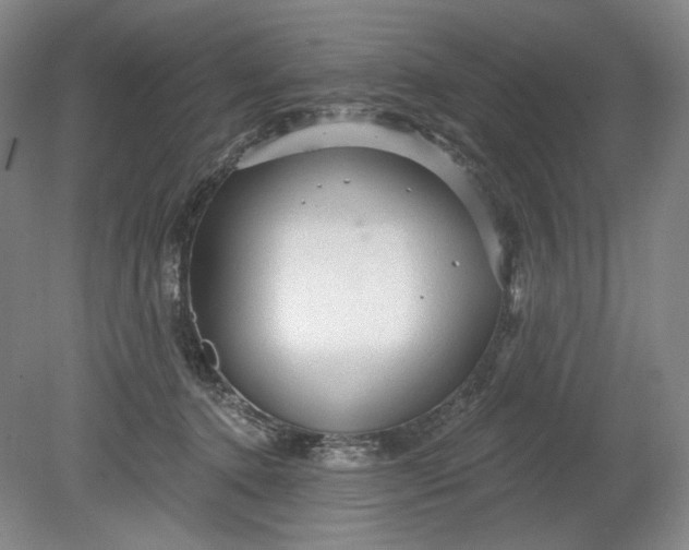 X0000078870368200611271307