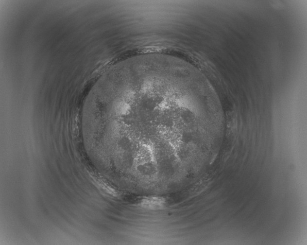 X0000078870369200611271307